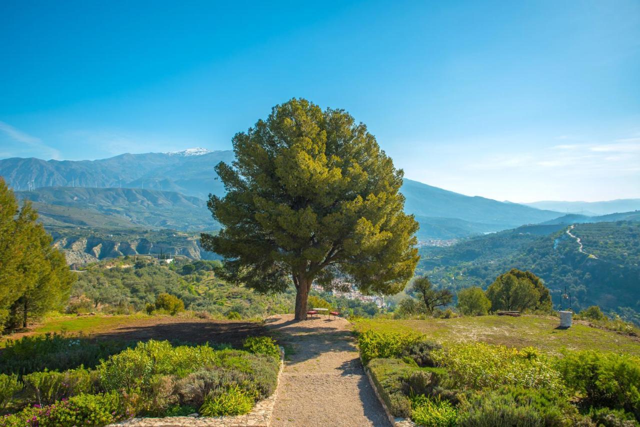 La Esperanza Granada Luxury Hacienda & Private Villa Saleres Eksteriør bilde