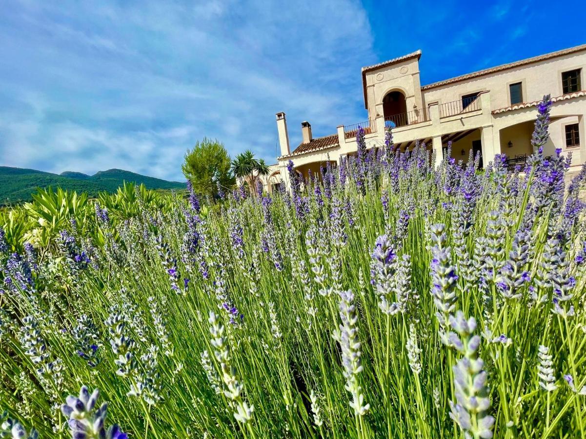 La Esperanza Granada Luxury Hacienda & Private Villa Saleres Eksteriør bilde